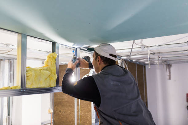 Best DIY Insulation Kits and Guidance in Warsaw, NC