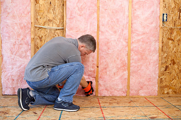 Best Insulation Maintenance and Repair in Warsaw, NC